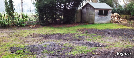 before lawn renovation
