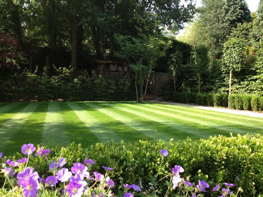 Experienced green keeping, professional lawn management