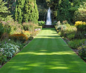 lawns - specialists